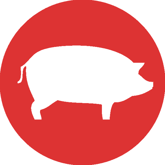 Cerdo Ibérico