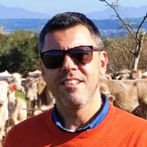 Carlos Sotelino - CEO